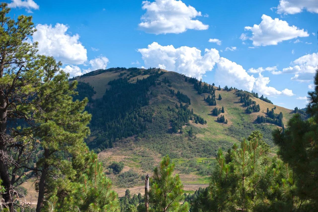 Huge Ruidoso Retreat With Game Room, Pool, 2 Balconies, 2 Kitchens - Sleeps 17! Extérieur photo